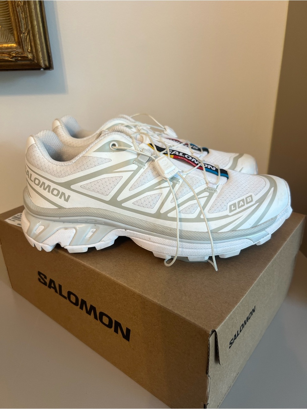 Salomon XT-6 White Trail Sneaker, Lunar Rock